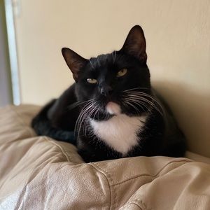 Meet your Posher, Marcos